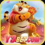 y3bet Mobile Mega